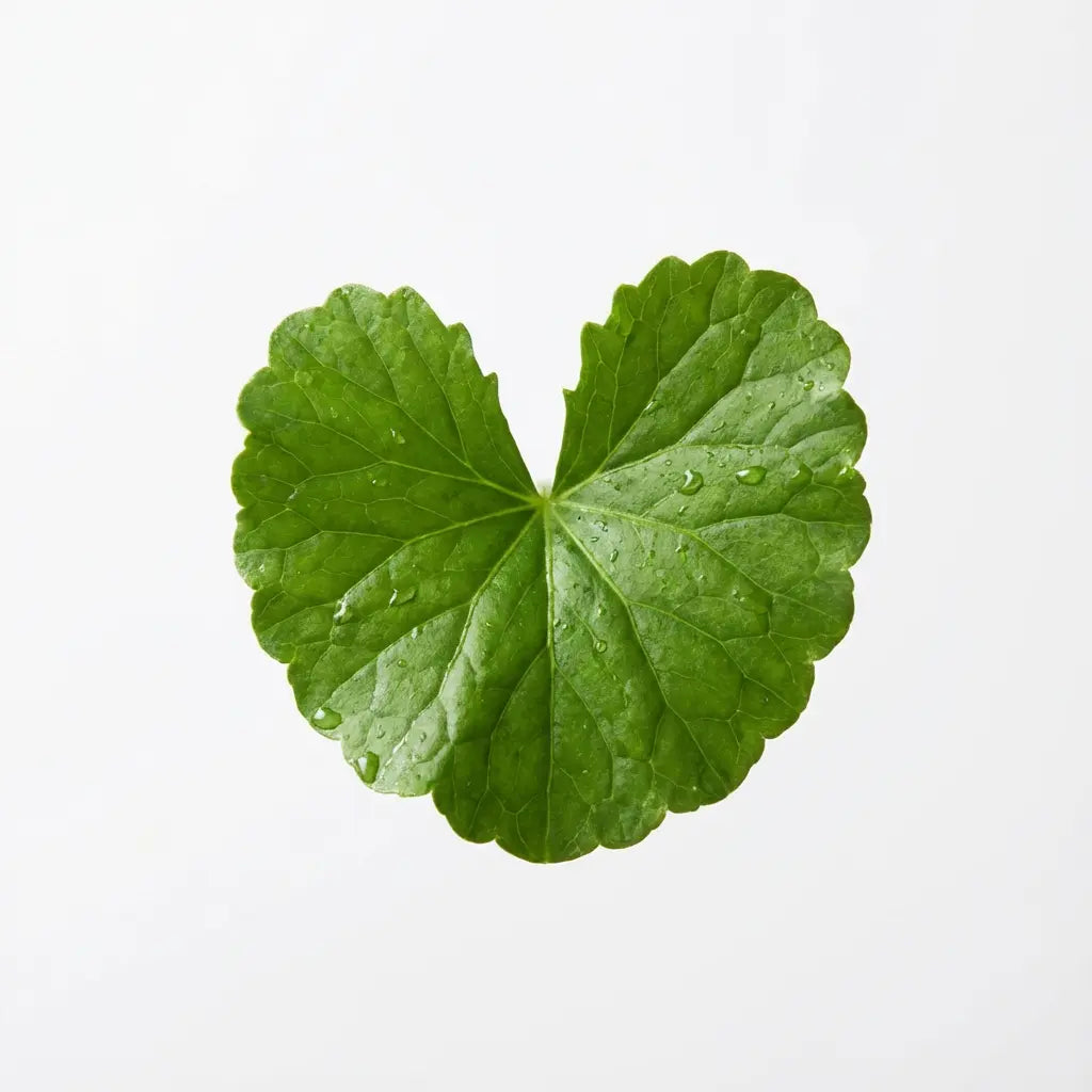 Banho energizante: transforme sua rotina com aromaterapia - Ráwve